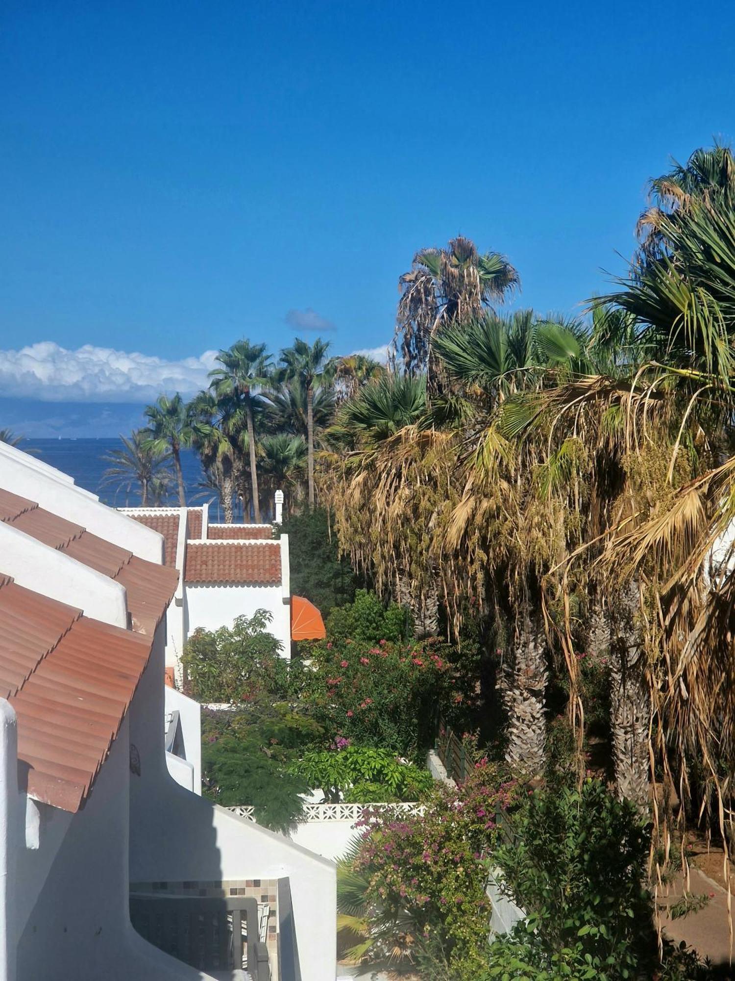 Parque Santiago 1 F-312 By Tenerife Dream Properties プラヤ・デ・ラス・アメリカス エクステリア 写真